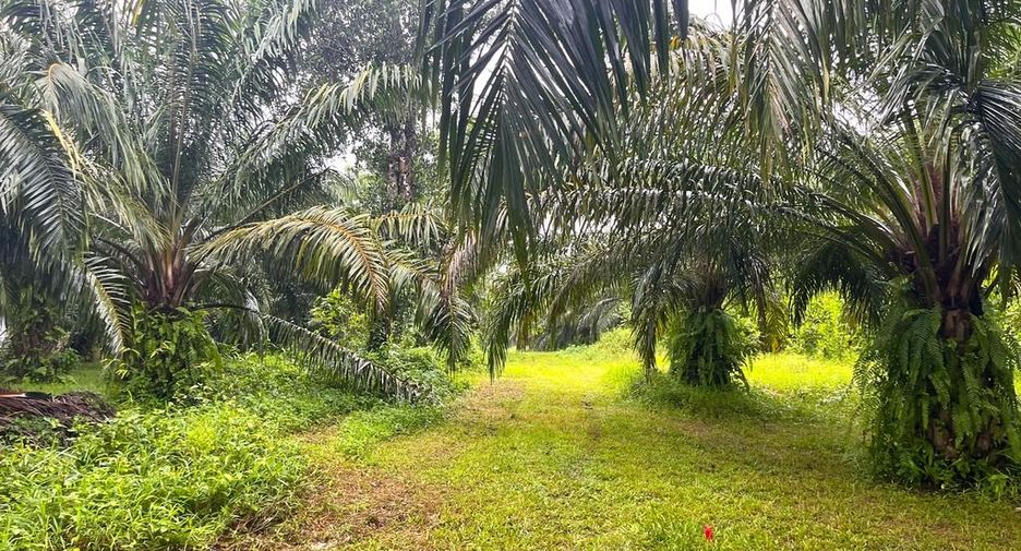 出售 土地 在 Takua Pa, Phangnga