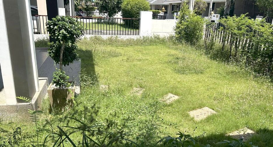 For rent 3 bedrooms house in San Sai, Chiang Mai
