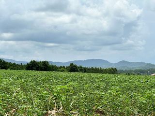 出售 土地 在 Si Racha, Chon Buri