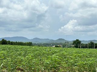 出售 土地 在 Si Racha, Chon Buri