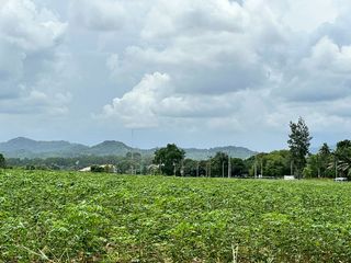 出售 土地 在 Si Racha, Chon Buri