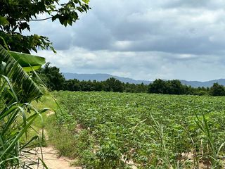 出售 土地 在 Si Racha, Chon Buri