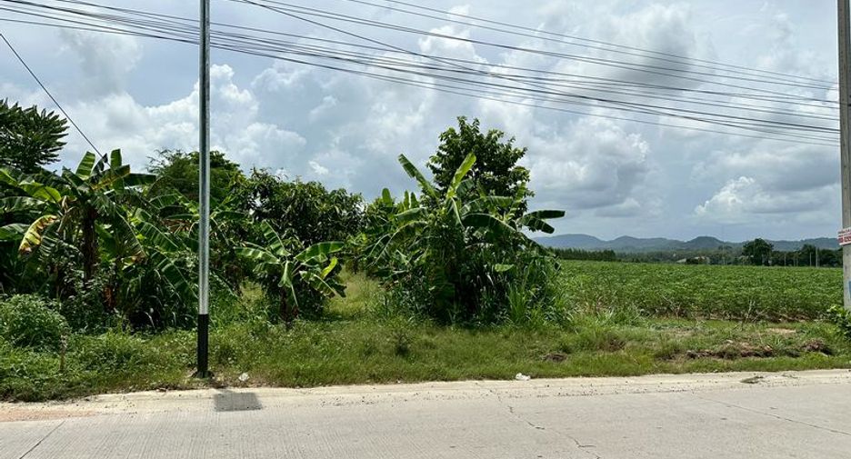 出售 土地 在 Si Racha, Chon Buri