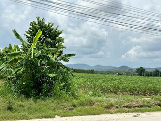 出售 土地 在 Si Racha, Chon Buri