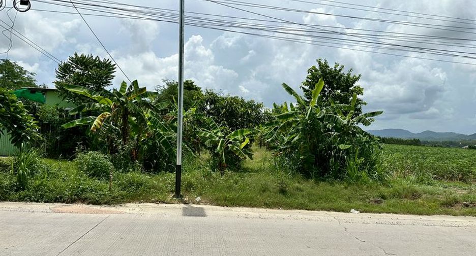 出售 土地 在 Si Racha, Chon Buri