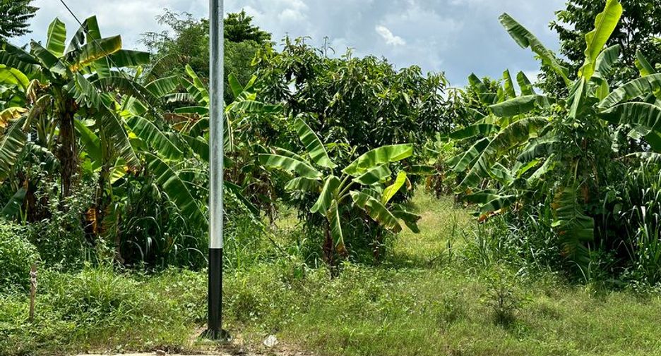 出售 土地 在 Si Racha, Chon Buri
