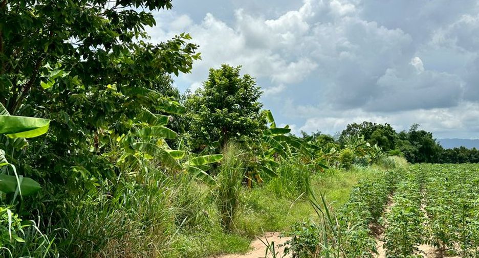 出售 土地 在 Si Racha, Chon Buri