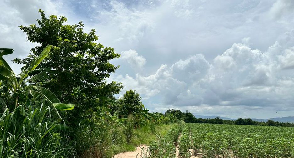 出售 土地 在 Si Racha, Chon Buri
