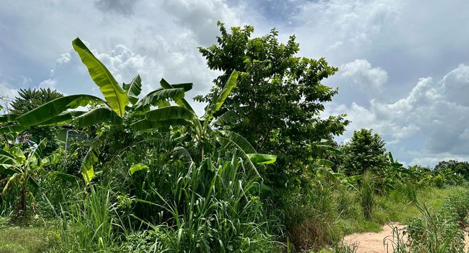出售 土地 在 Si Racha, Chon Buri