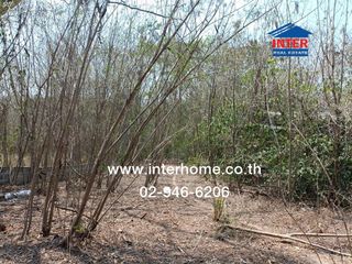 For sale land in Muak Lek, Saraburi