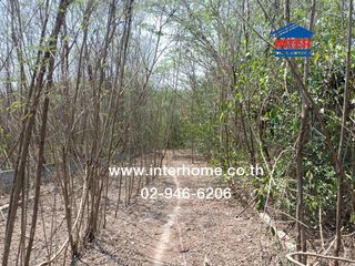 For sale land in Muak Lek, Saraburi