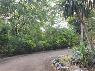 For sale land in Pak Chong, Nakhon Ratchasima