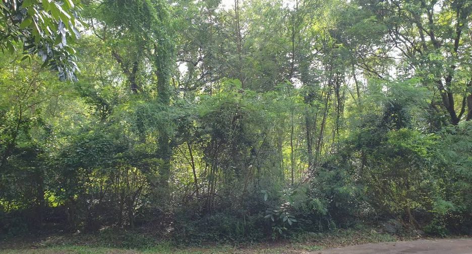Grundstück zum Kauf in Pak Chong, Nakhon Ratchasima