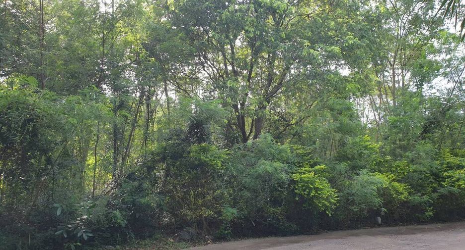 Grundstück zum Kauf in Pak Chong, Nakhon Ratchasima
