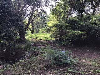 For sale land in Pak Chong, Nakhon Ratchasima