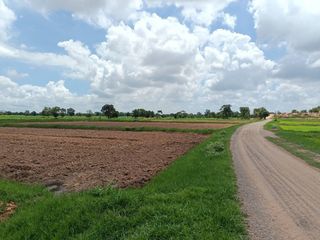For sale land in Bua Yai, Nakhon Ratchasima