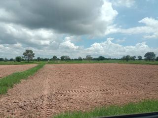 For sale land in Bua Yai, Nakhon Ratchasima