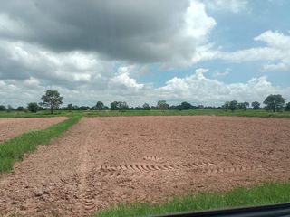 For sale land in Bua Yai, Nakhon Ratchasima
