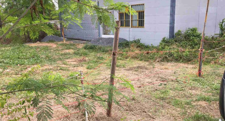 Almacén en alquiler y en venta en Lat Lum Kaeo, Pathum Thani