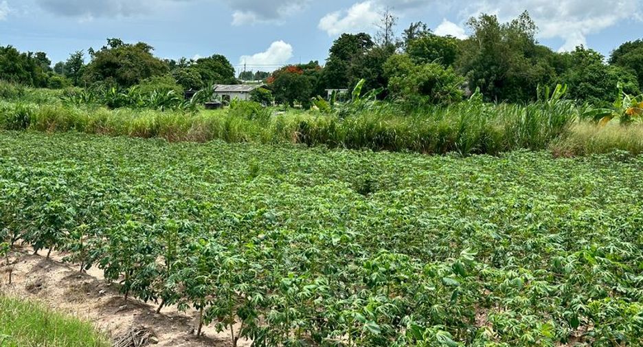 Grundstück zum Kauf in Si Racha, Chonburi