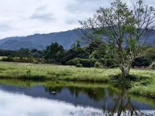 For sale land in Sung Noen, Nakhon Ratchasima