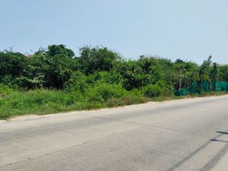 For sale land in Phra Samut Chedi, Samut Prakan