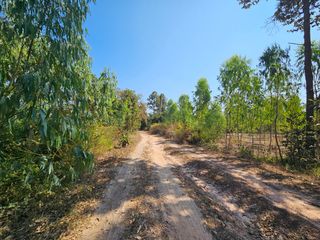 For sale land in Mueang Maha Sarakham, Maha Sarakham