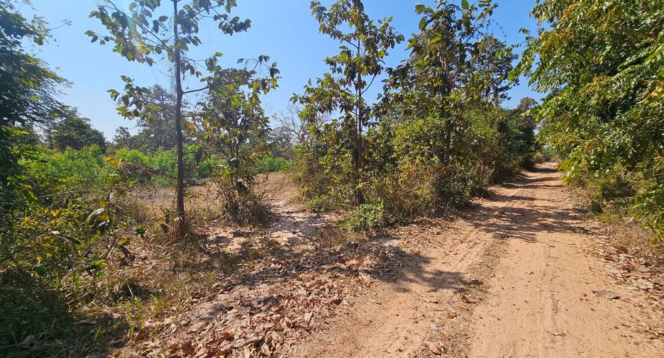 ขาย ที่ดิน ใน เมืองมหาสารคาม, มหาสารคาม