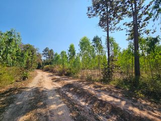 For sale land in Mueang Maha Sarakham, Maha Sarakham