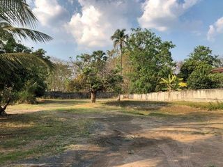 For sale land in Sanom, Surin