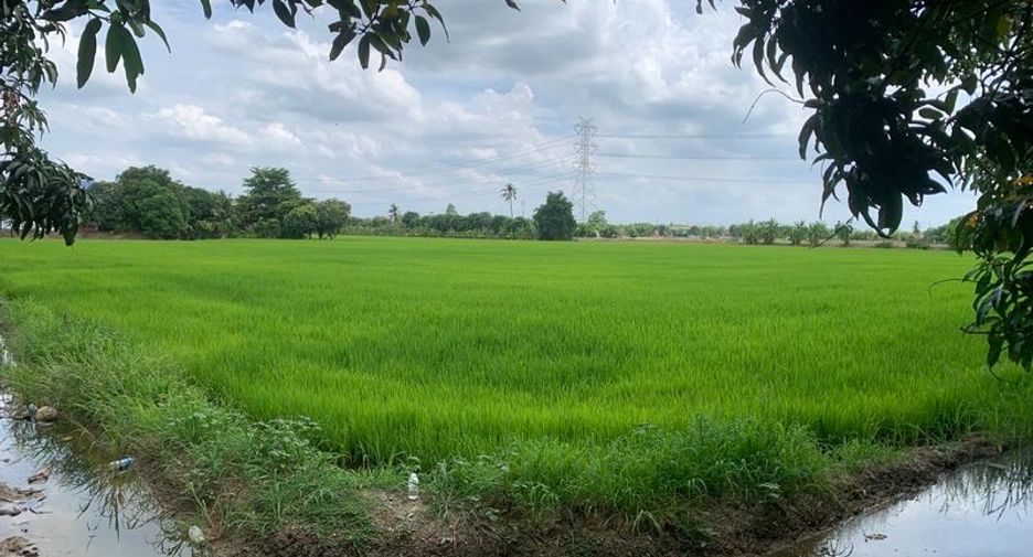 Terreno en venta en Bang Bua Thong, Nonthaburi