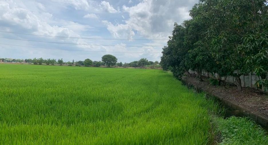Terreno en venta en Bang Bua Thong, Nonthaburi