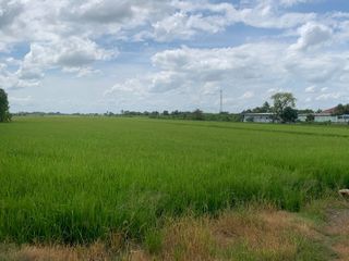 ขาย ที่ดิน ใน บางบัวทอง, นนทบุรี
