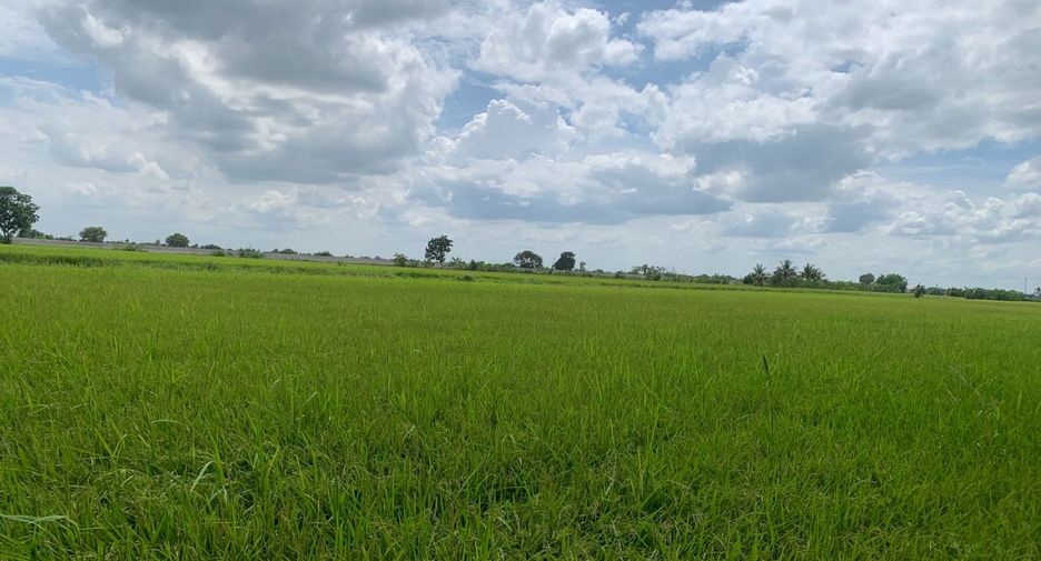 Grundstück zum Kauf in Bang Bua Thong, Nonthaburi