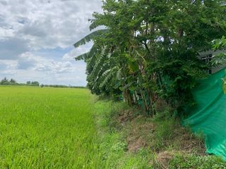 For sale land in Bang Bua Thong, Nonthaburi