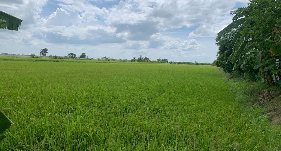 Grundstück zum Kauf in Bang Bua Thong, Nonthaburi