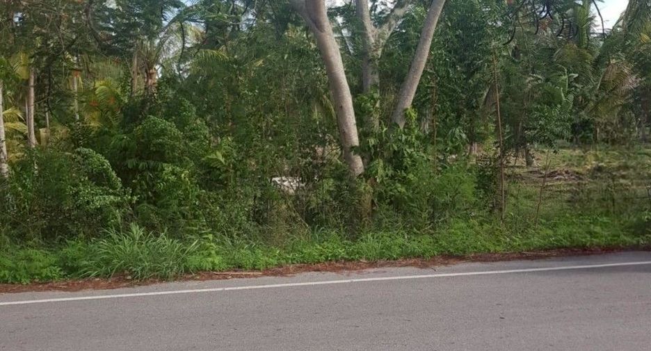 出售 土地 在 Thap Sakae, 班武里府