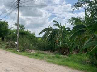 For sale land in Bang Bua Thong, Nonthaburi