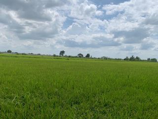 For sale land in Bang Bua Thong, Nonthaburi