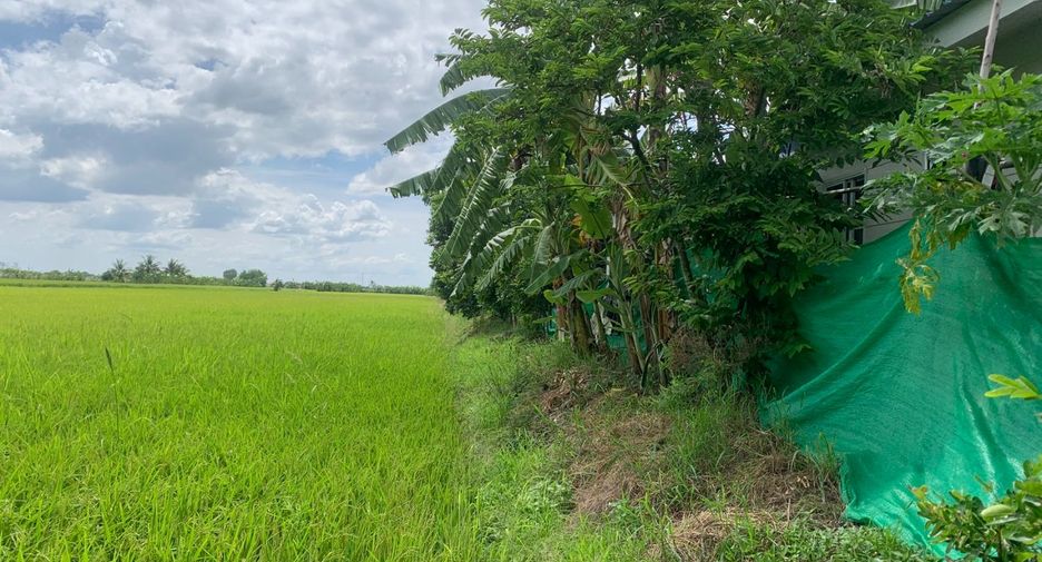 For sale land in Bang Bua Thong, Nonthaburi