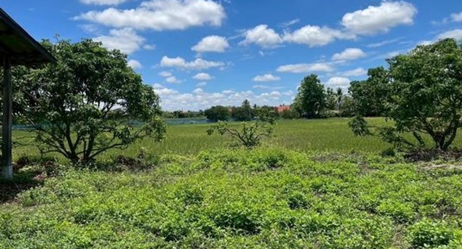 For sale land in Mae Wang, Chiang Mai