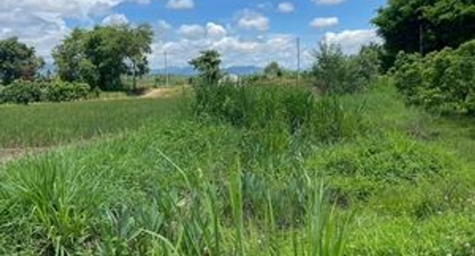 For sale land in Mae Wang, Chiang Mai
