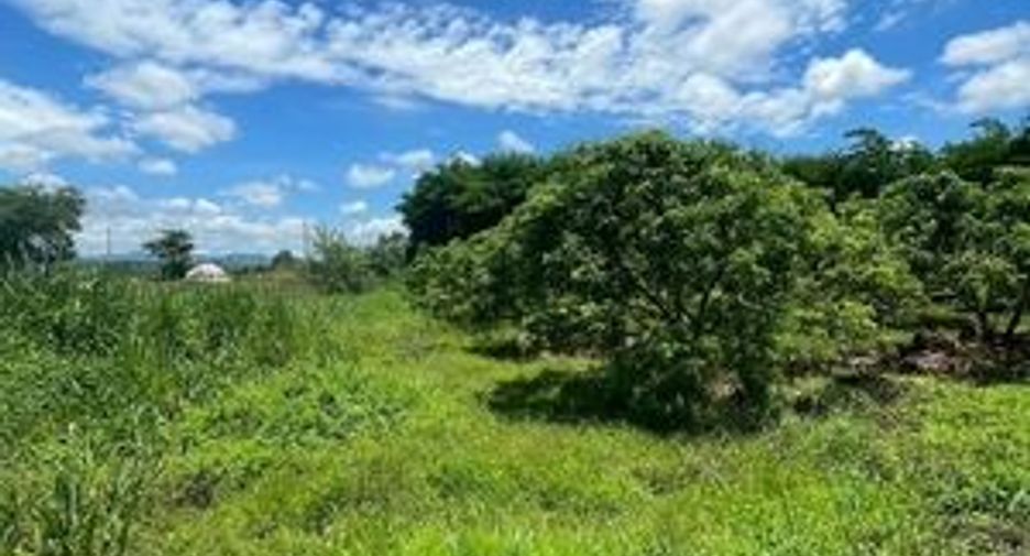 For sale land in Mae Wang, Chiang Mai