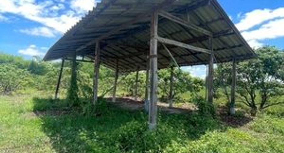 For sale land in Mae Wang, Chiang Mai