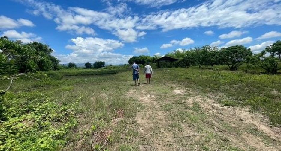 For sale land in Mae Wang, Chiang Mai