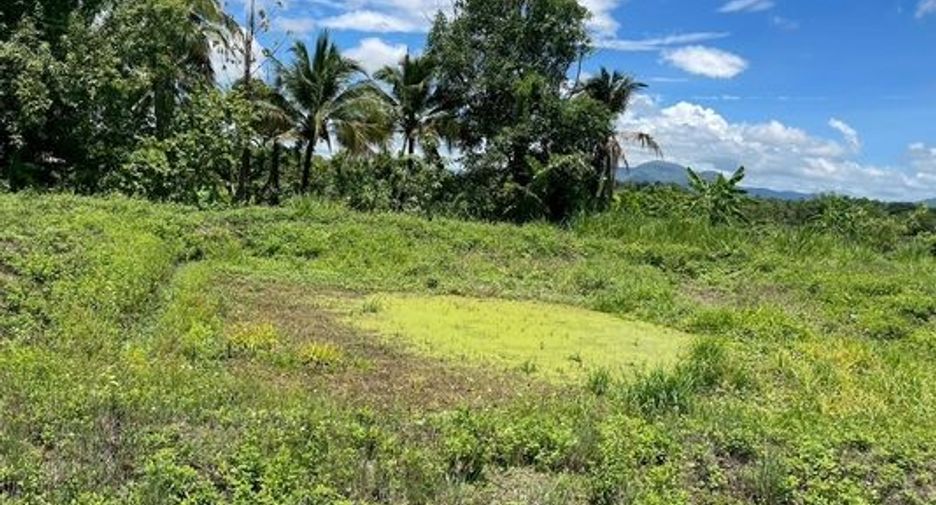 For sale land in Mae Wang, Chiang Mai