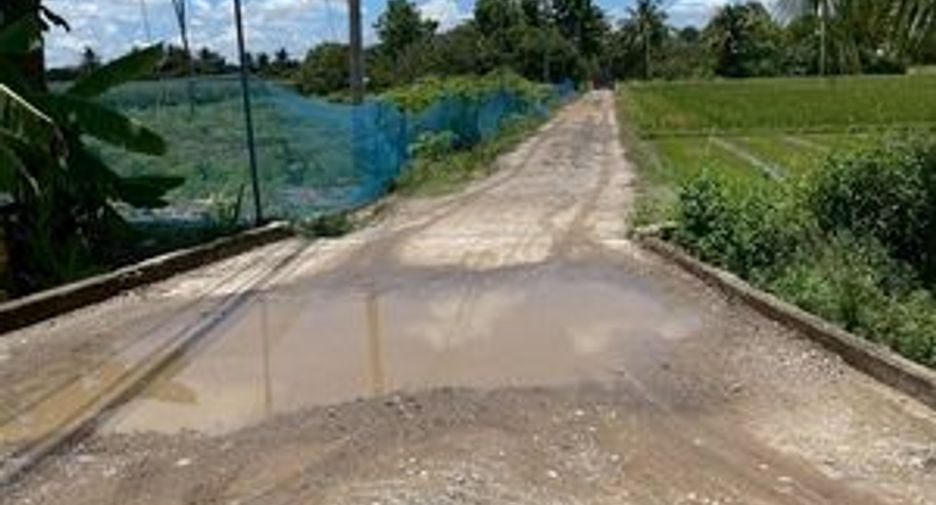 For sale land in Mae Wang, Chiang Mai