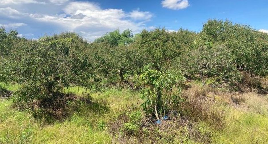 For sale land in Mae Wang, Chiang Mai