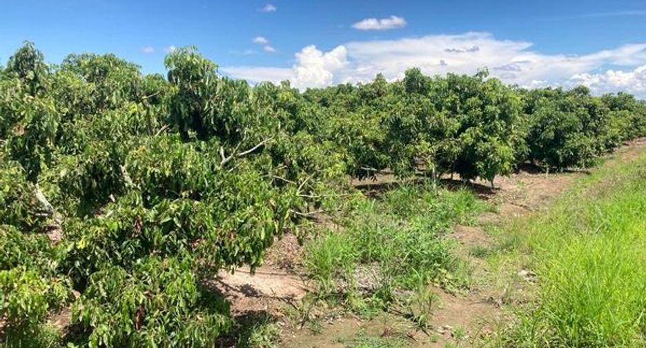 For sale land in Mae Wang, Chiang Mai