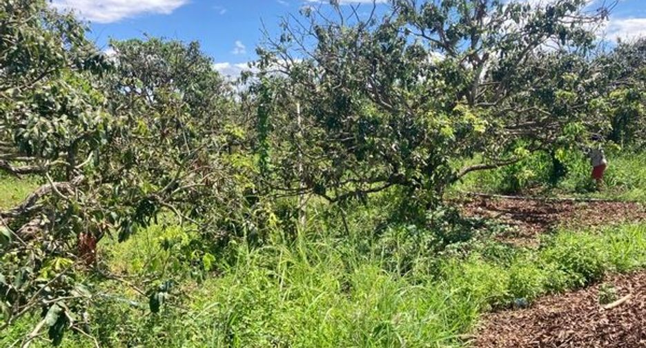 For sale land in Mae Wang, Chiang Mai